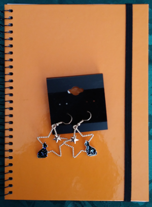 Cat Star Earrings & Mini-Journal